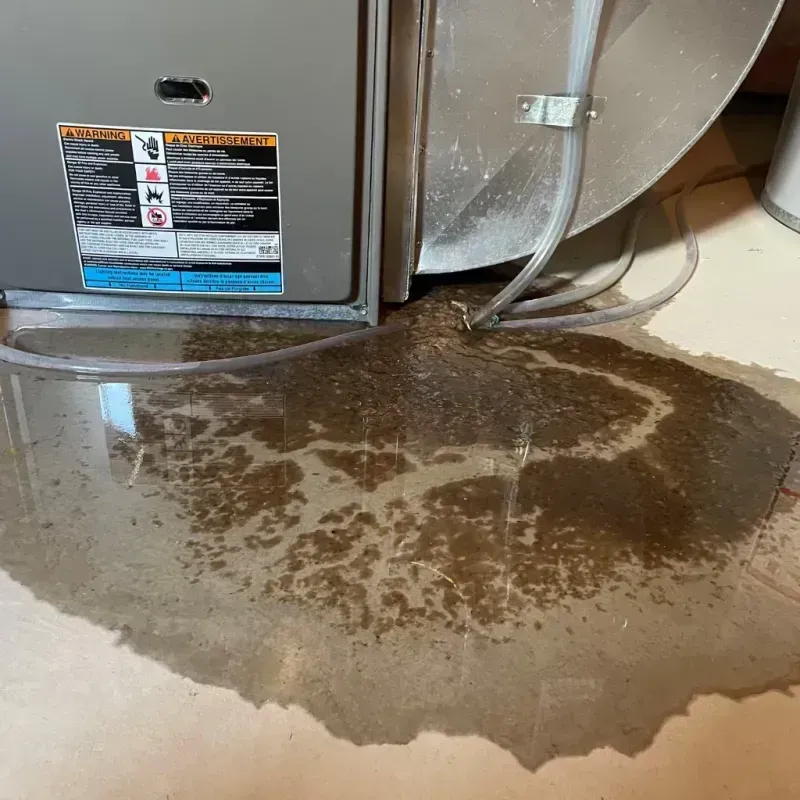 Appliance Leak Cleanup in Hidden Spring, ID